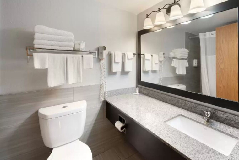 Bathroom 4, Quality Inn & Suites Mayo Clinic Area, Olmsted