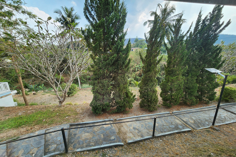 Scenery 19