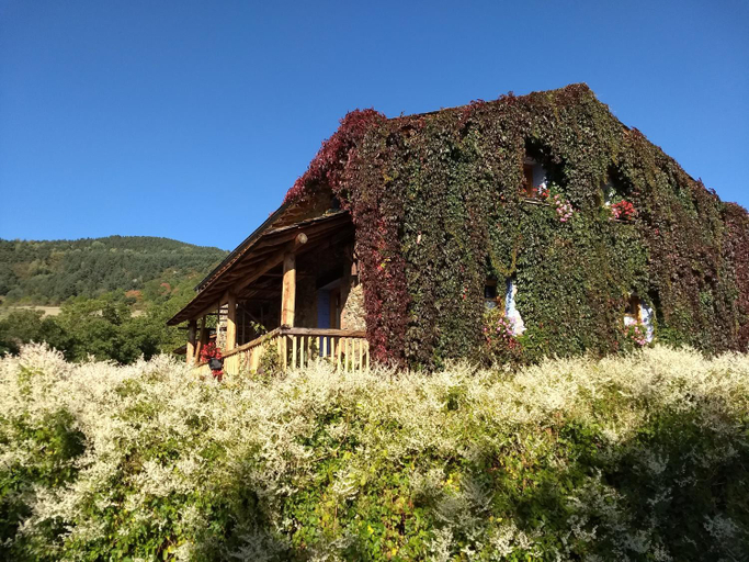 Others 5, Hostal D'Eller, Lleida