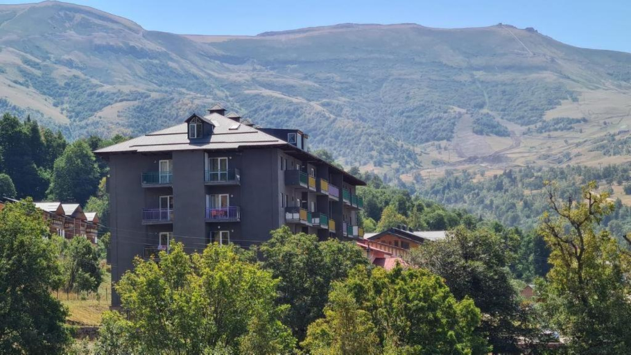 Others 4, Apartment in Hotel, Borjomi