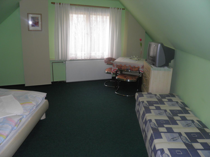 Others 3, Penzion U Modreho Slona, Cheb