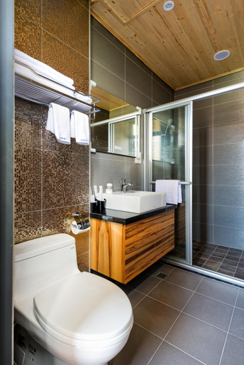 Bathroom 3, Fungoing Bed and Breakfast, Hualien