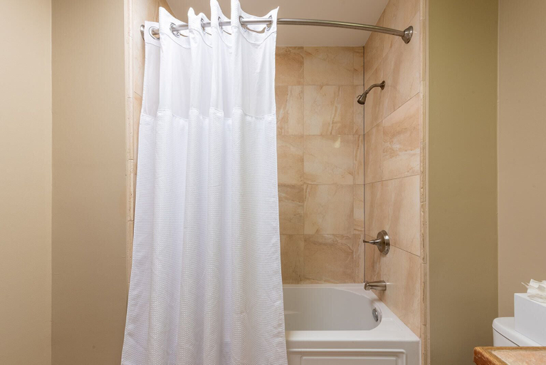 Bathroom 3, The Manor on St. Philip, Orleans