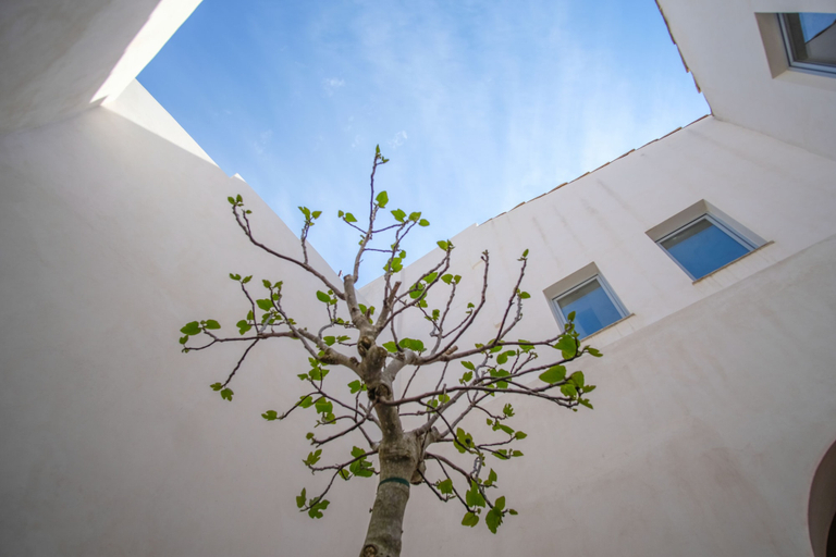 Exterior & Views 2, Dimora SIQU, Agrigento