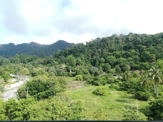 Scenery
