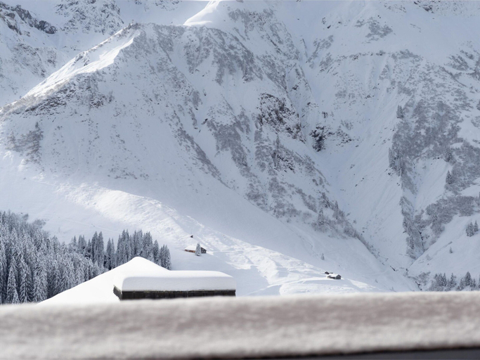 Others 2, Apartment in Schrocken Near Ski Arlberg, Bregenz