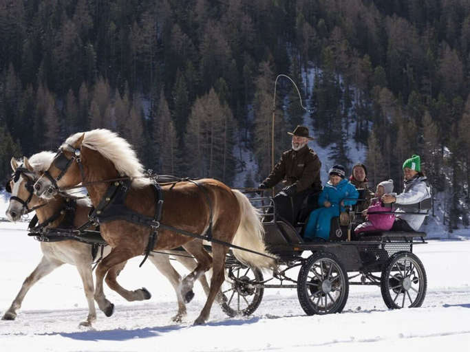 Snow and ski sports 4, the Veitenhof Comfortable Holiday Residence, Imst