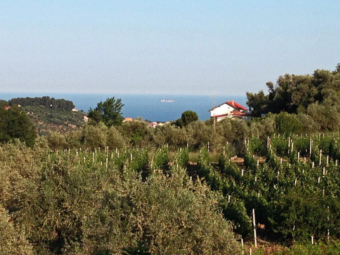 Others 4, Agriturismo Ada Musso ss, Imperia