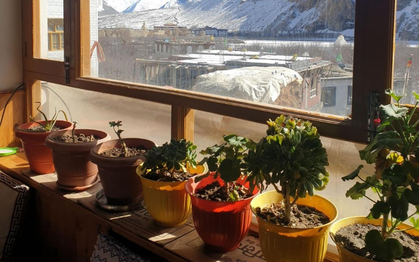 Others 3, Green Tara Homestay by StayApart, Lahul & Spiti