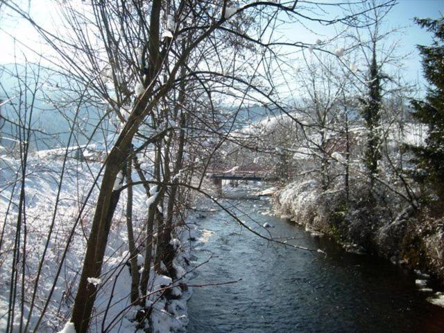 Others 5, Finken, Gastezimmer an der Rench, Ortenaukreis