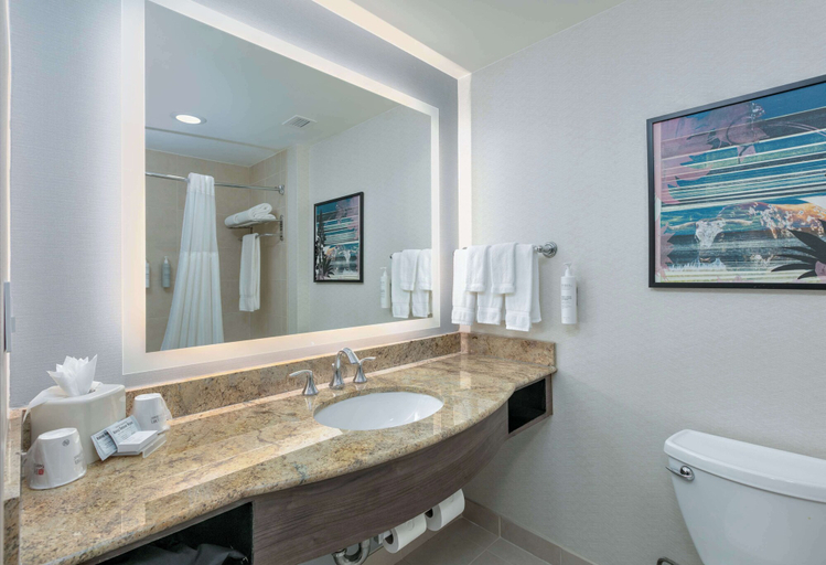 Bathroom 5, Hilton Garden Inn Dallas/Arlington, Arlington