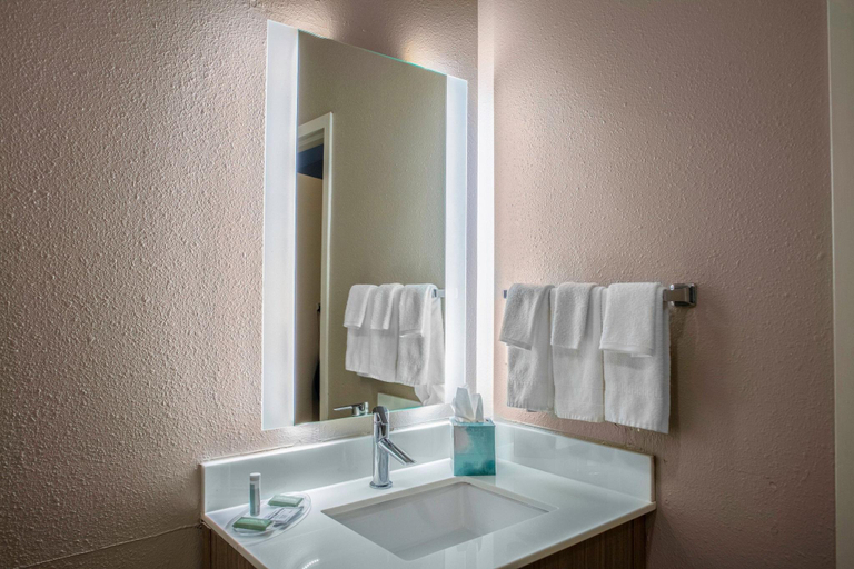 Bathroom 4, SpringHill Suites Baton Rouge South, East Baton Rouge