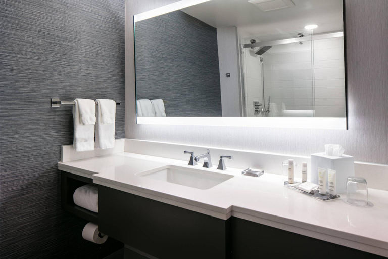 Bathroom 5, West Des Moines Marriott, Dallas