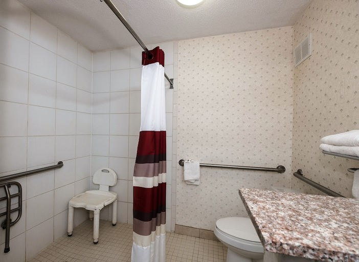 Bathroom 4, Quality Inn, Anderson