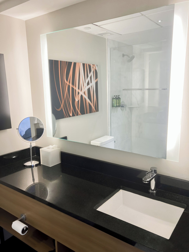 Bathroom 4, Executive Hotel Le Soleil New York, New York