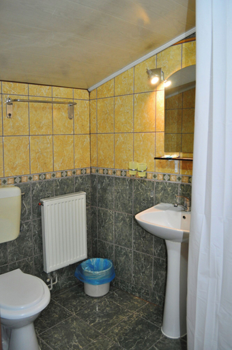 Bathroom 5, Pensiunea Flamingo, Brasov