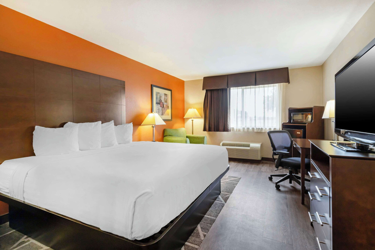 Bedroom 3, Best Western Inn & Suites, Comal