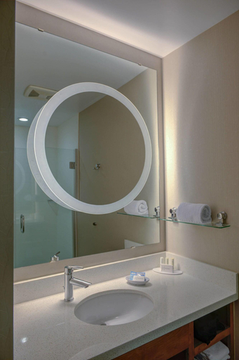 Bathroom 5, SpringHill Suites by Marriott Macon, Bibb
