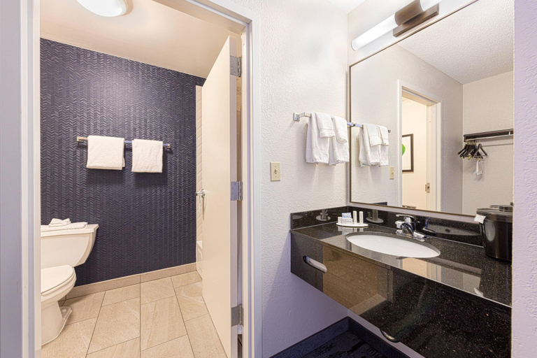 Bathroom 4, Fairfield Inn & Suites By Marriott Chicago Napervi, Dupage
