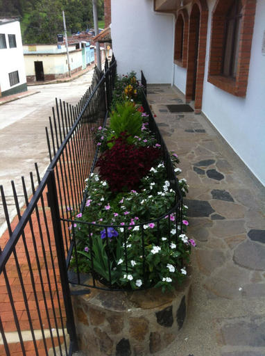 Others 3, Hotel Casa Medina, Guacamayas