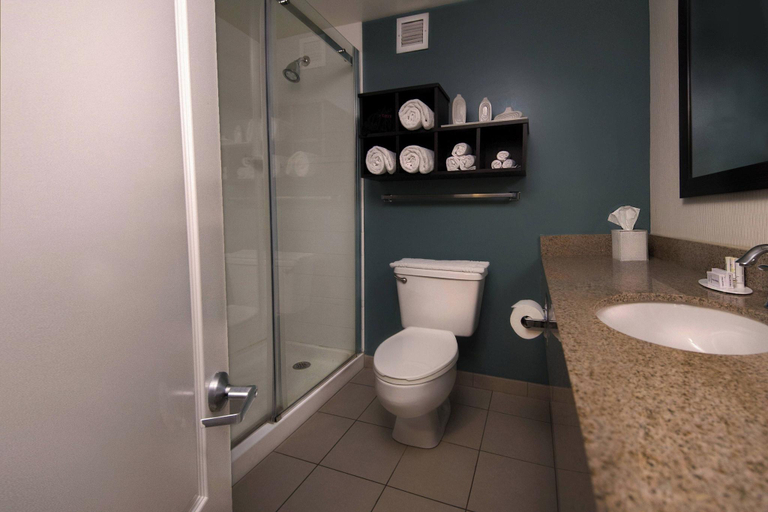 Bathroom, Courtyard New Bern, Craven