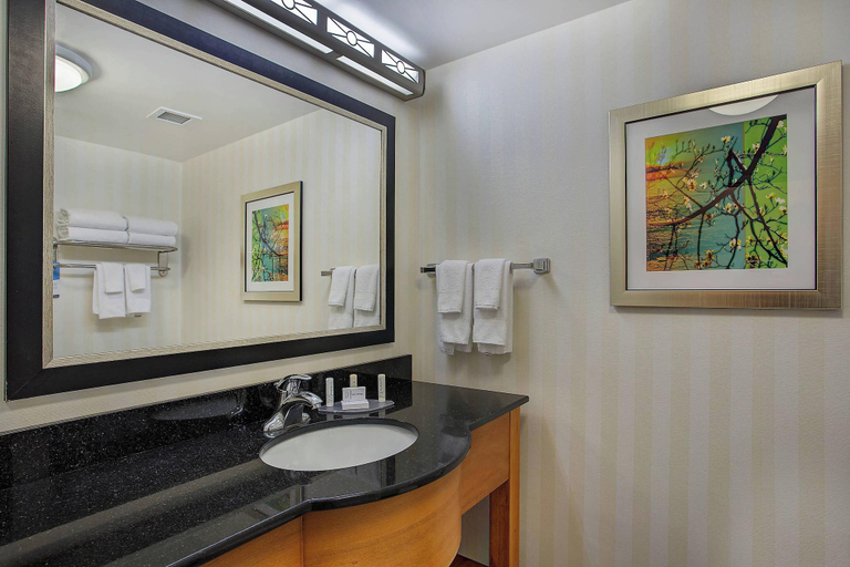 Bathroom, Fairfield Inn & Suites Sevierville Kodak, Sevier