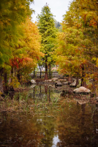 Others 5, Urarakana, Miaoli