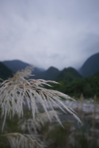 Others 2, SongYue Homestay, Hualien