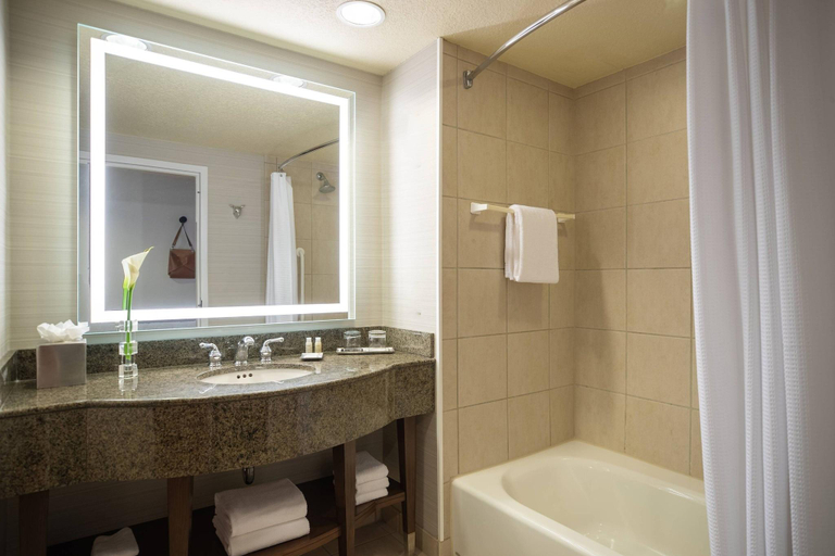Bathroom 5, Renaissance Dallas Richardson Hotel, Dallas