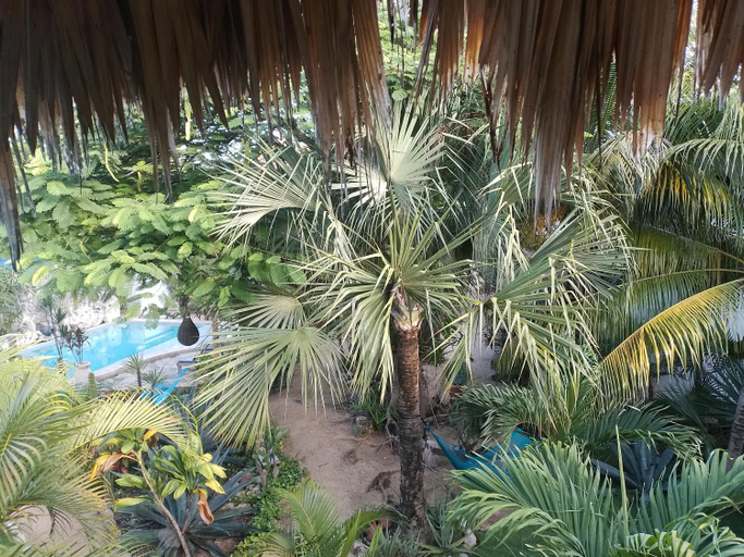 Others 3, Zamunda Garden View, Cozumel