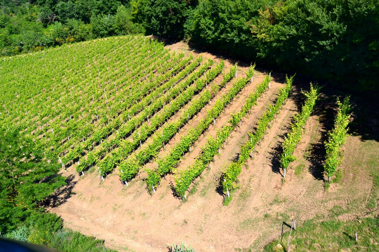 Others 5, Agriturismo Le Cantine, Siena
