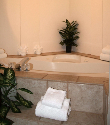 Bathroom 2, Hampton Inn Aiken, Aiken