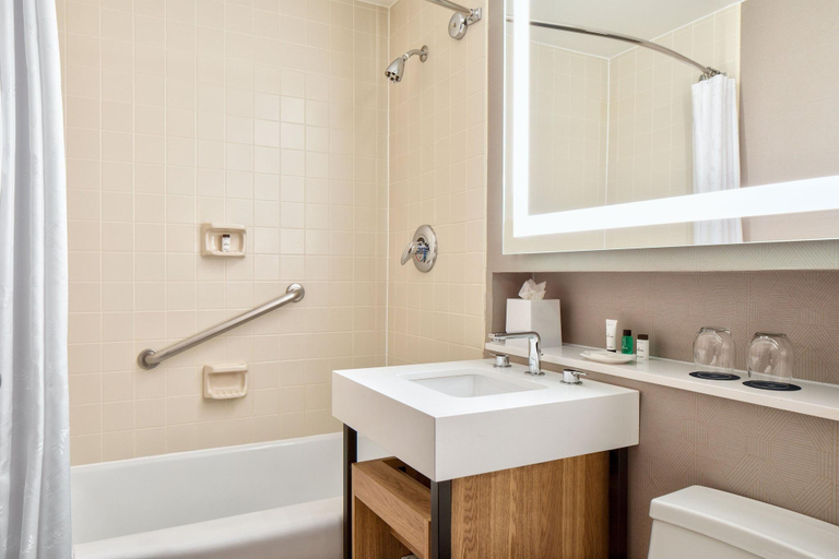 Bathroom 5, Sheraton Dallas Hotel, Dallas