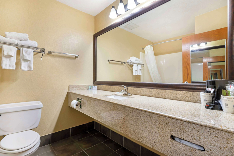 Bathroom 4, Best Western Locust Grove Inn & Suites, Mayes