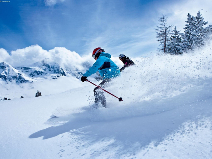 Others 2, Chalet in Mittersill Near Ski Slopes, Zell am See