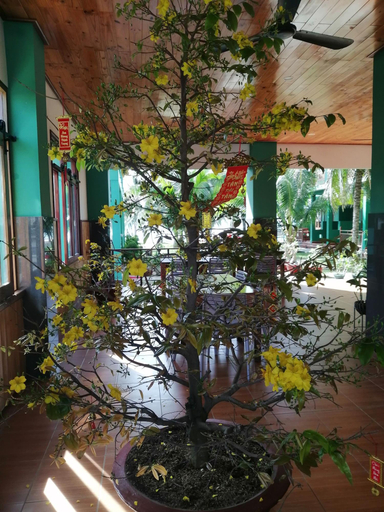 Public Area, Hiep Hoa Resort , Phan Thiết