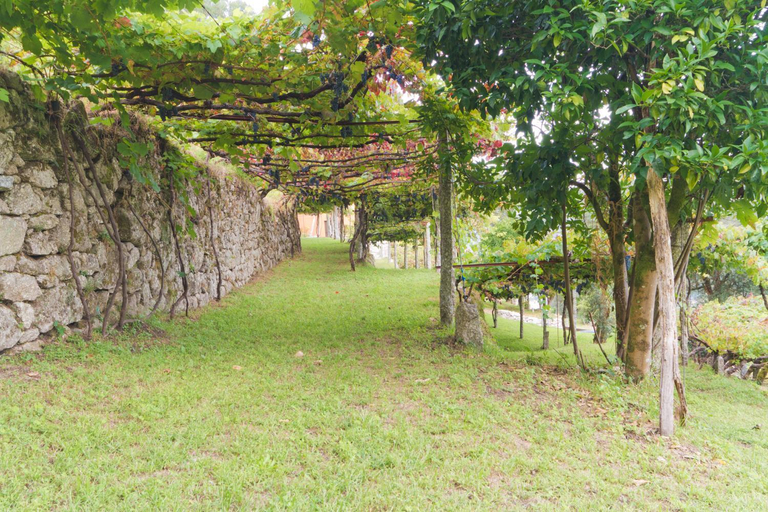 Others 2, Quinta da Vinagra, Arcos de Valdevez