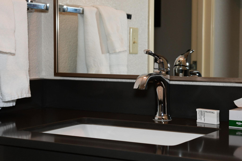 Bathroom 4, Fairfield Inn & Suites Mt. Pleasant, Isabella