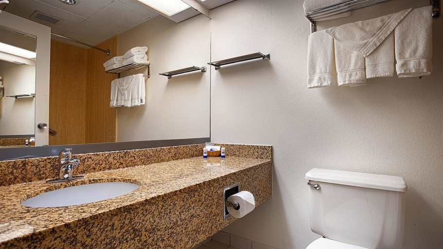 Bathroom 3, Wyndham Garden Ankeny, Polk