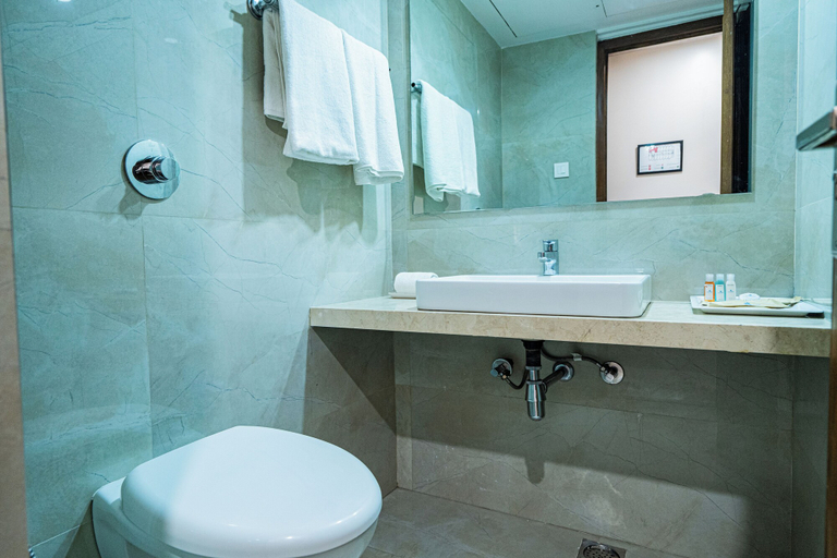 Bathroom 4, Hotel Mayura, Raipur