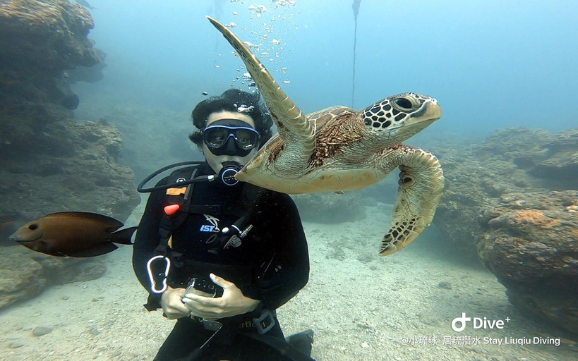 Others 3, Stay Liuqiu Diving Hostel, Pingtung