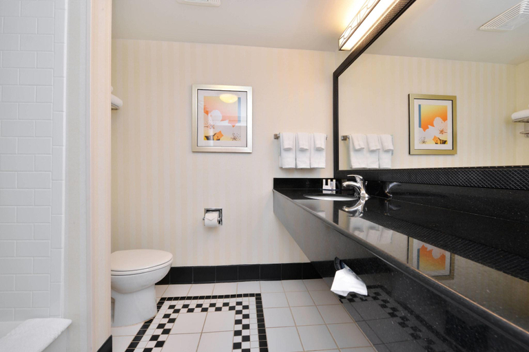 Bathroom 4, Fairfield Inn & Suites Asheboro, Randolph