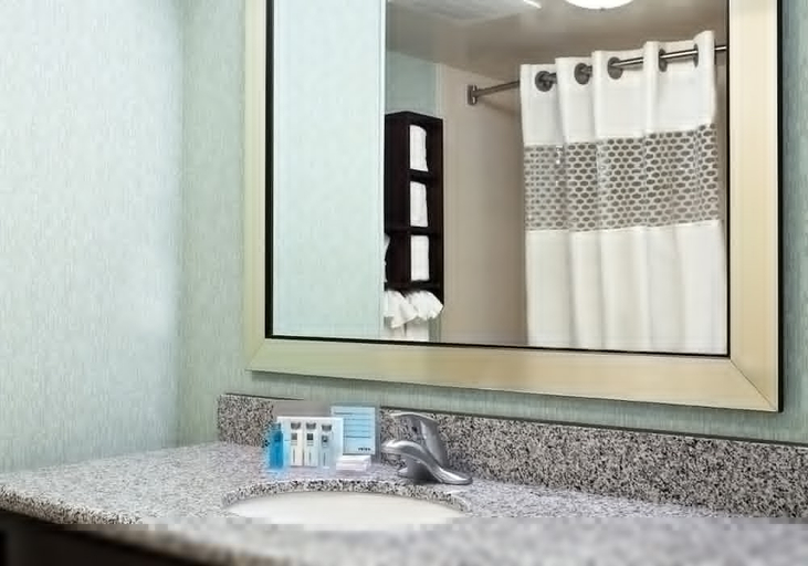 Bathroom 3, Hampton Inn & Suites Orlando-North/Altamonte Springs, Seminole