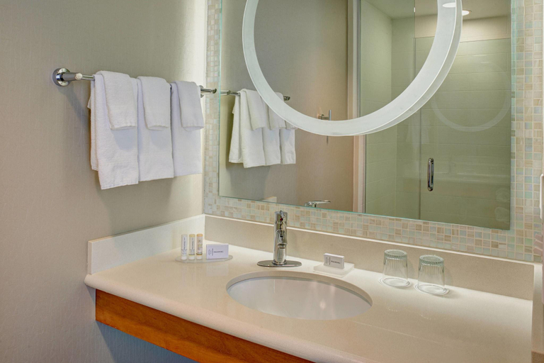 Bathroom 5, Springhill Suites Saginaw, Saginaw