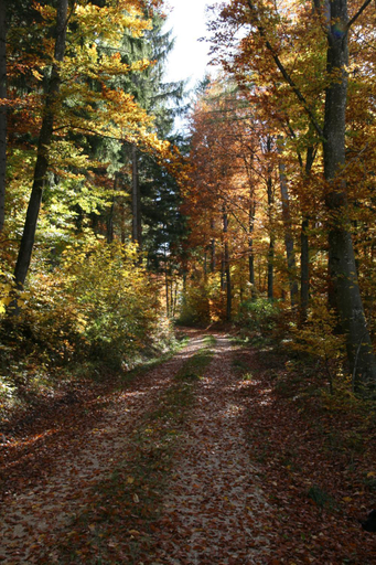 Others 5, Sontheimer Wirtshv§usle, Heidenheim