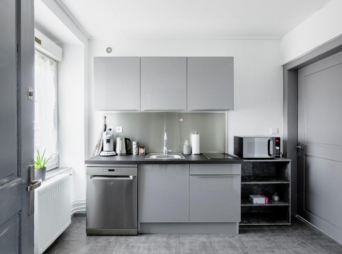 Others 3, MyHome Basel 1A44, Great Location, New Large Apart, Haut-Rhin