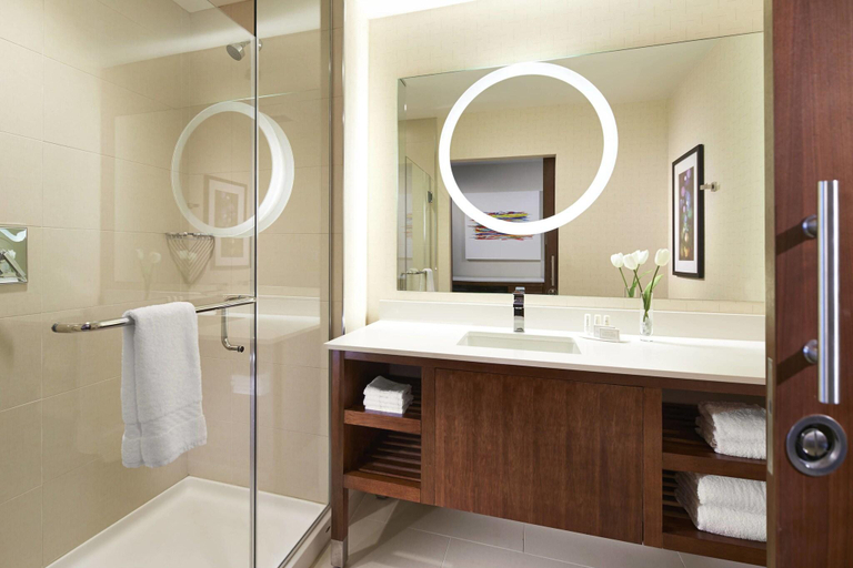 Bathroom 5, SpringHill Suites Anaheim Resort/Convention Center, Orange