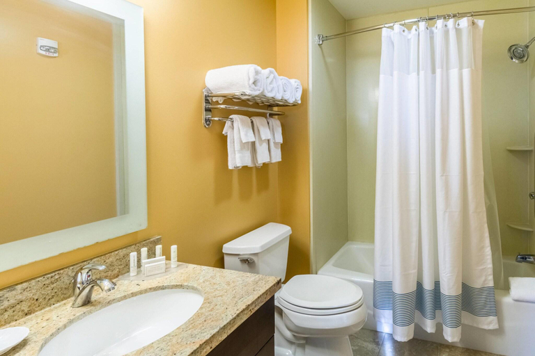 Bathroom 4, TownePlace Suites Dayton North, Montgomery