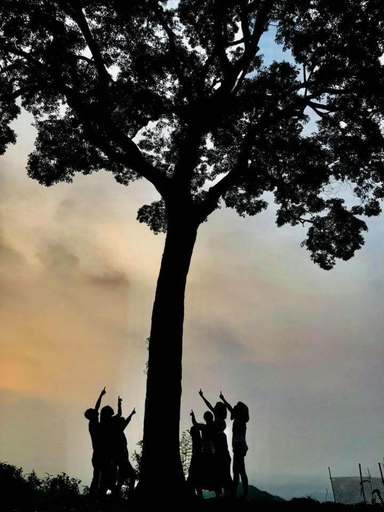2, Sunny Lucy, Nantou