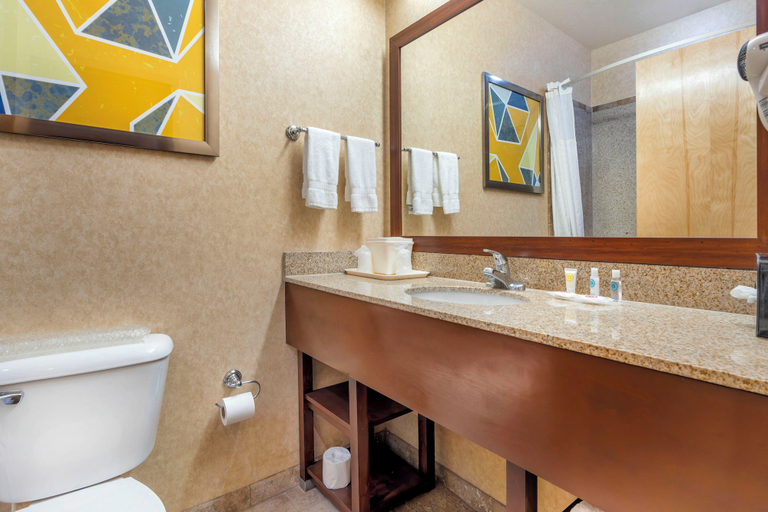 Bathroom 4, Comfort Inn at Convention Center, Washington